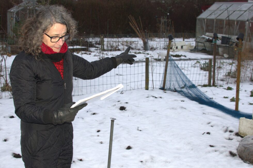 Januar: Planlæg din have