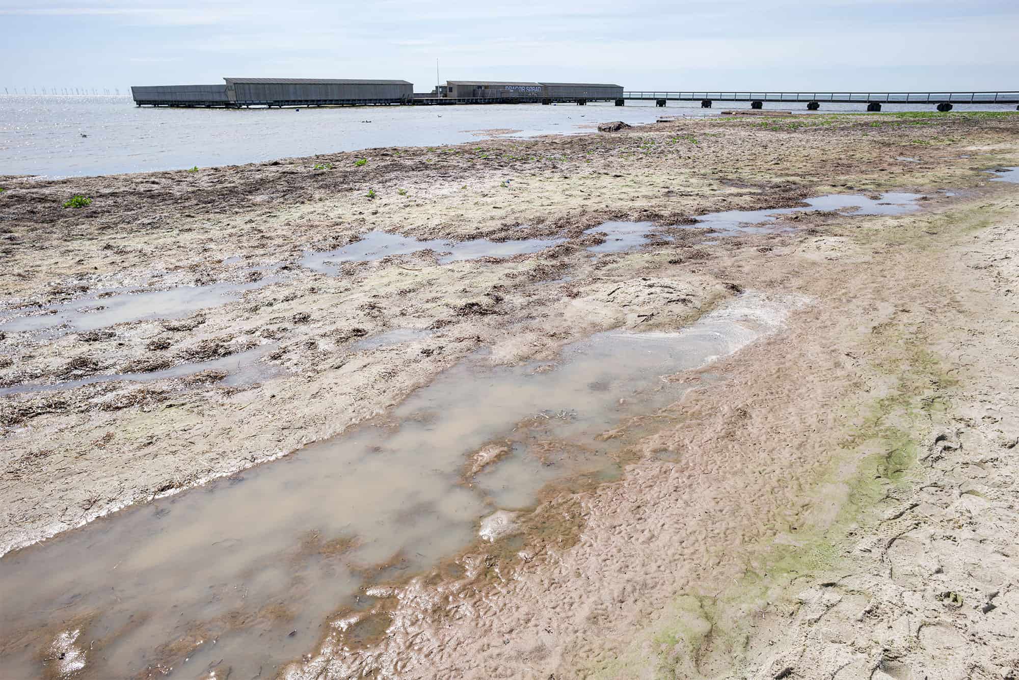 Tangen bliver på stranden lidt endnu