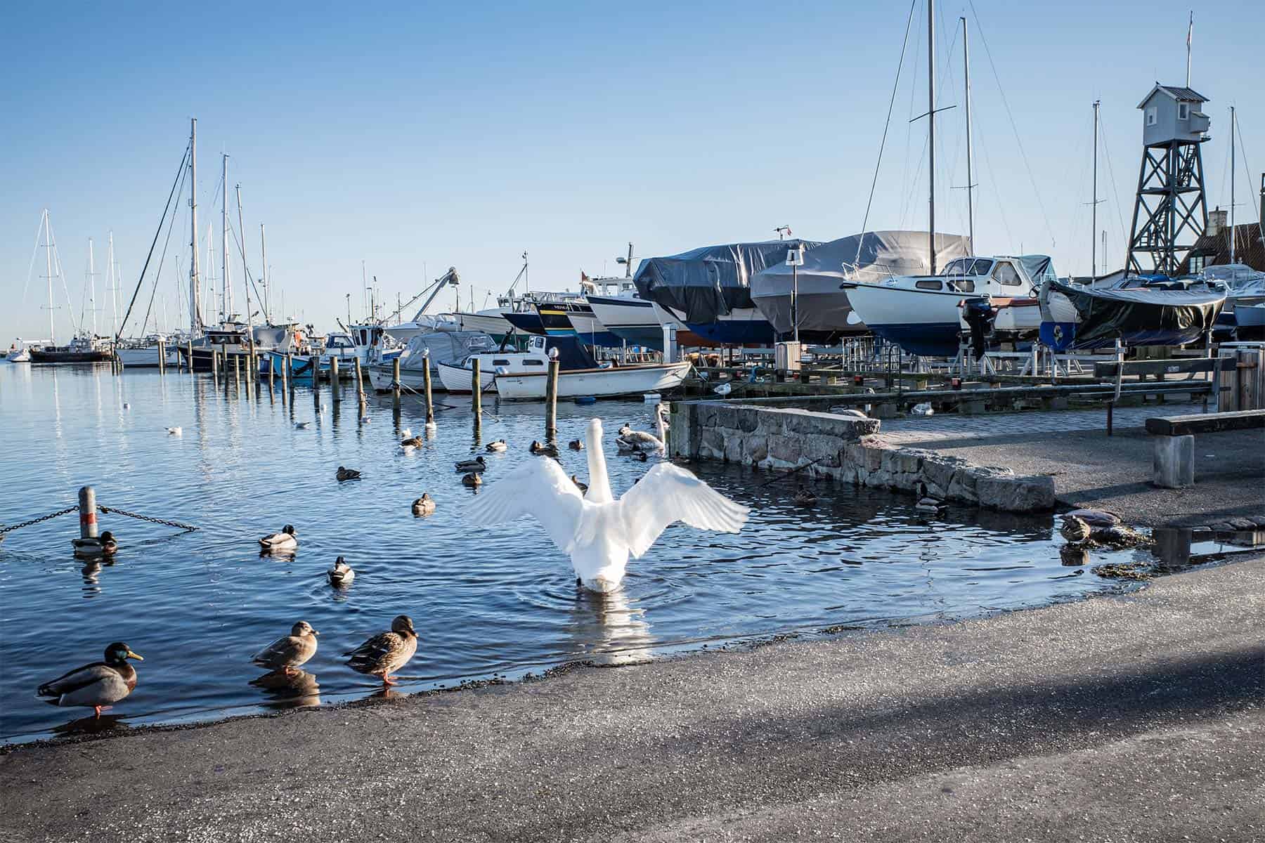 Højvande