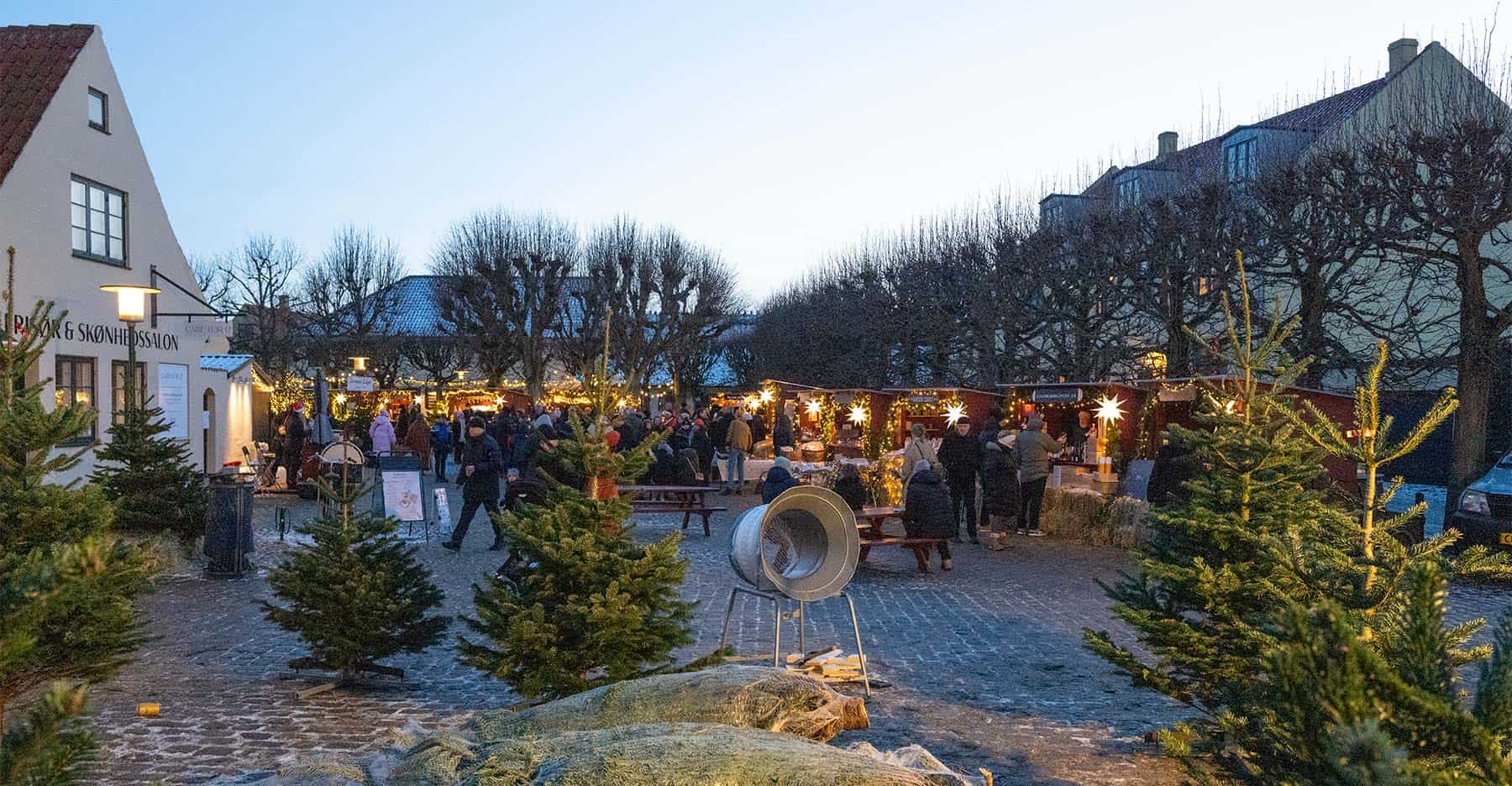 Vi har modtaget – borgmesterens nyhedsbrev: Julefreden sænker sig