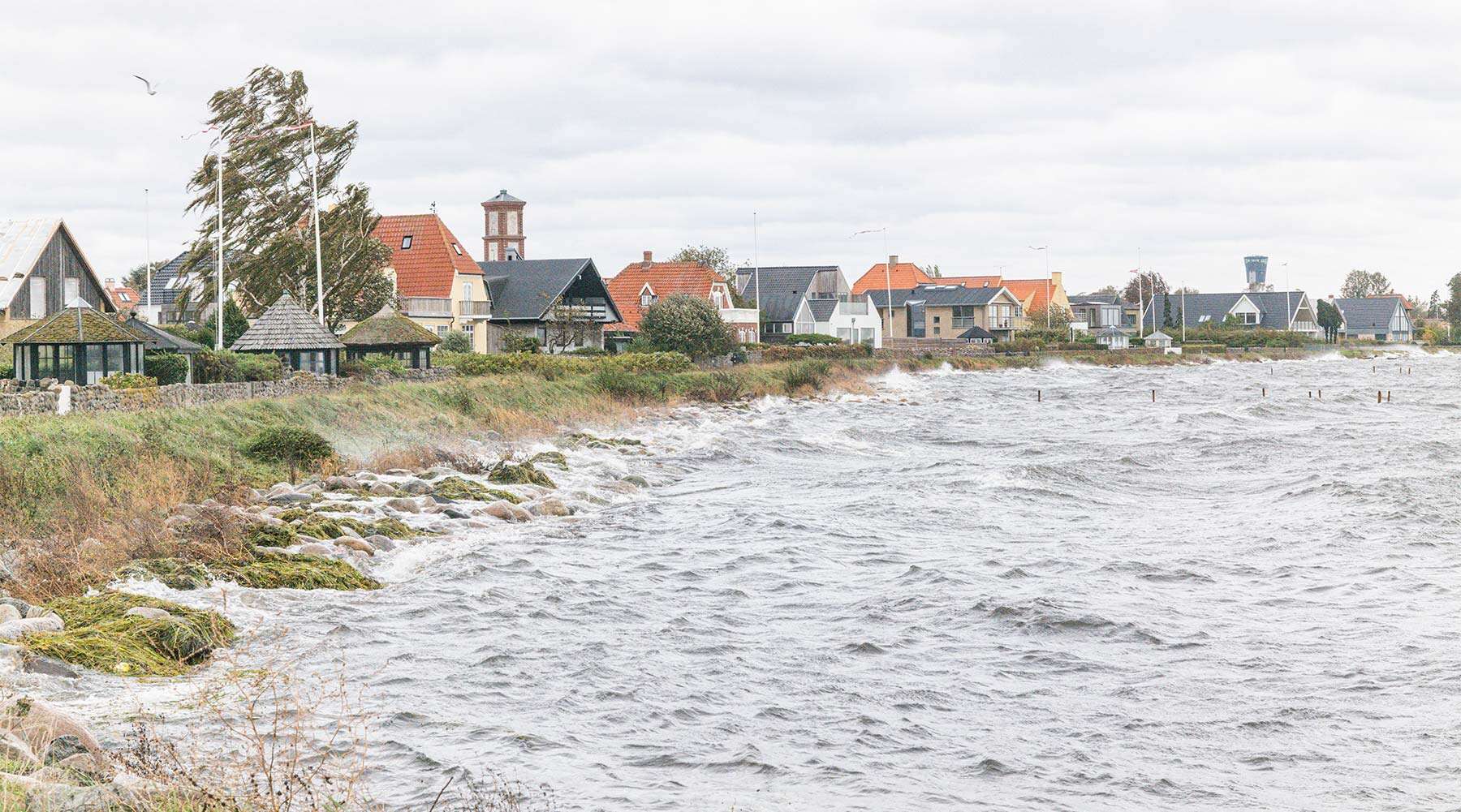 Tidlig anbefaling: Dige på mindst fire meter rundt om Dragør