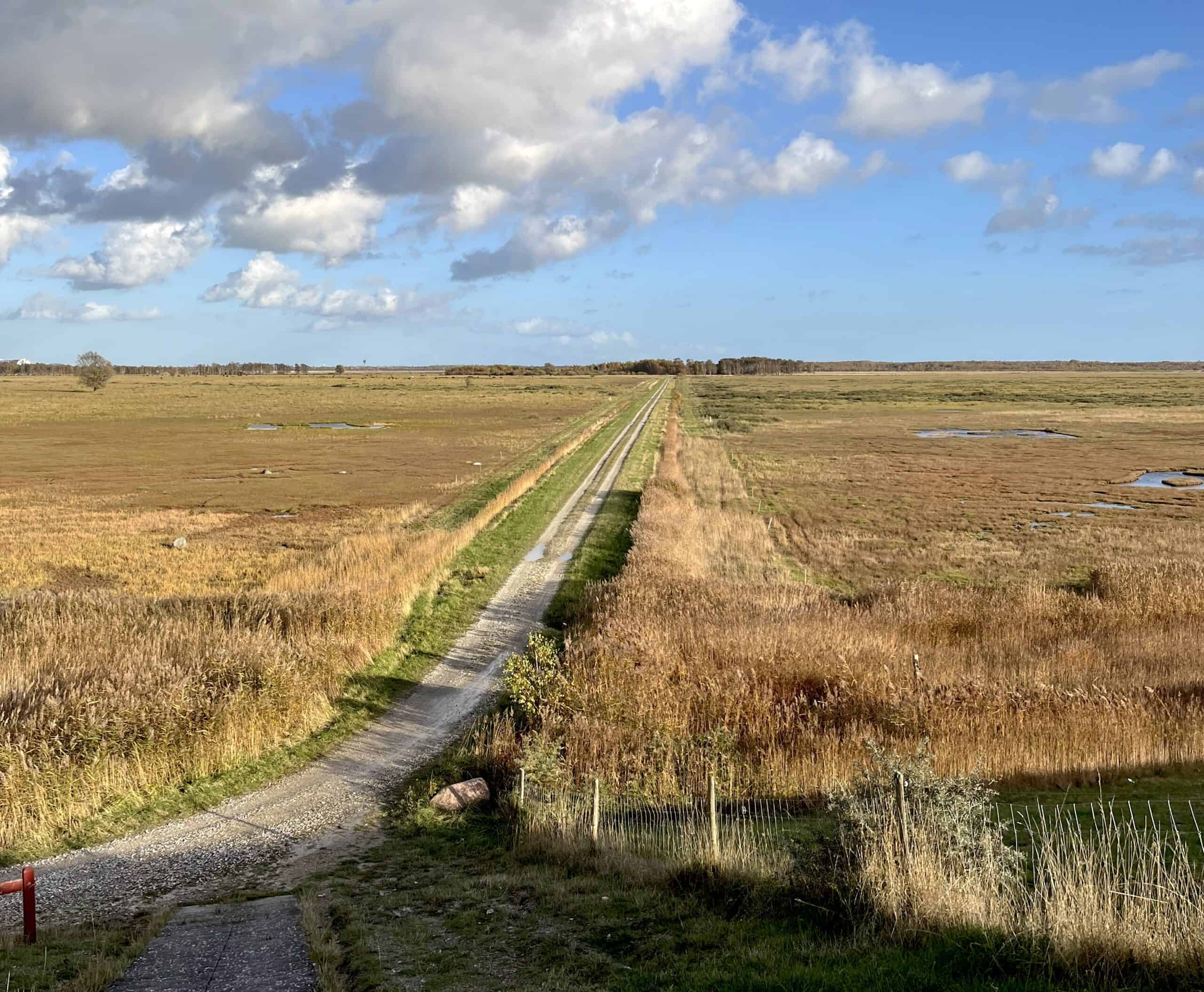 Naturnationalpark mellem Islands Brygge og Dragør