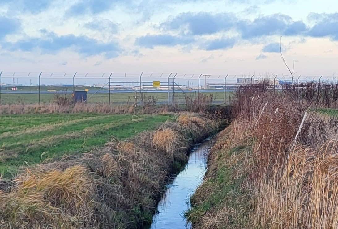 Millioner frigivet til PFAS-oprensning
