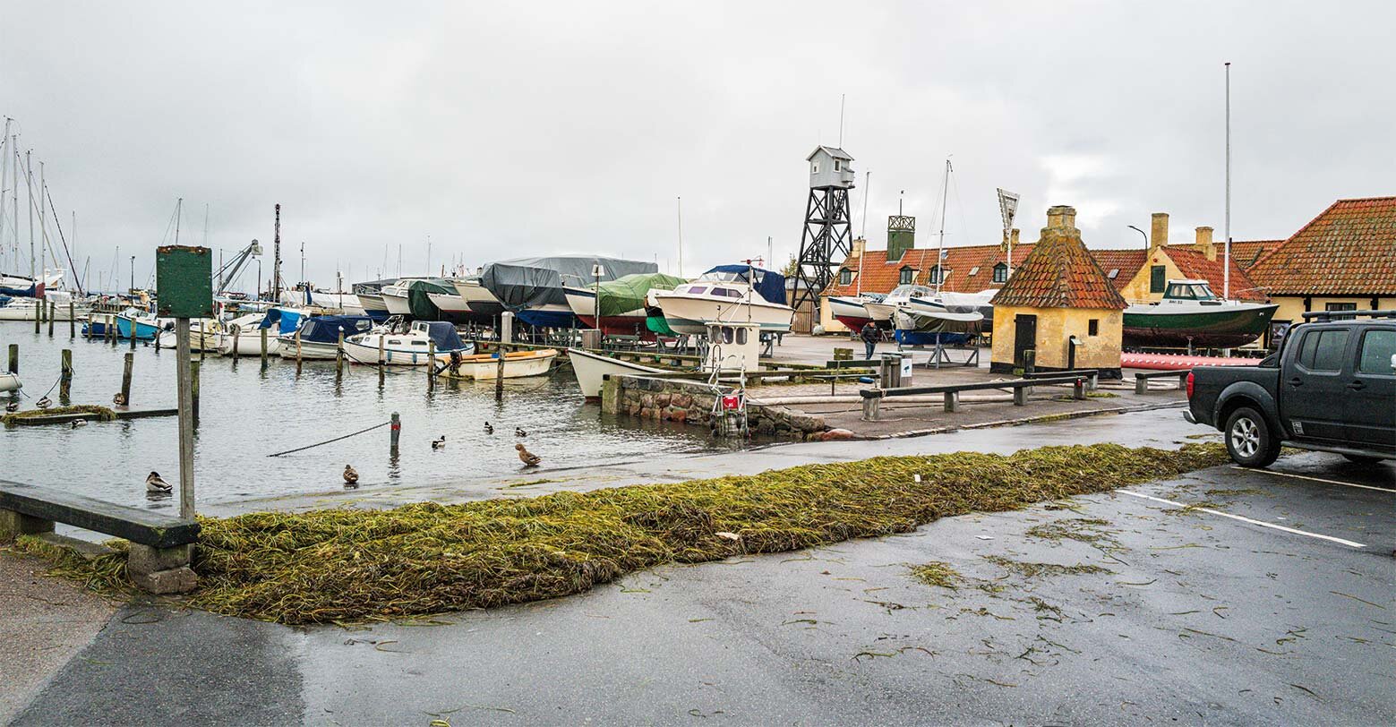 8,9 millioner kroner givet fri til kystbeskyttelse