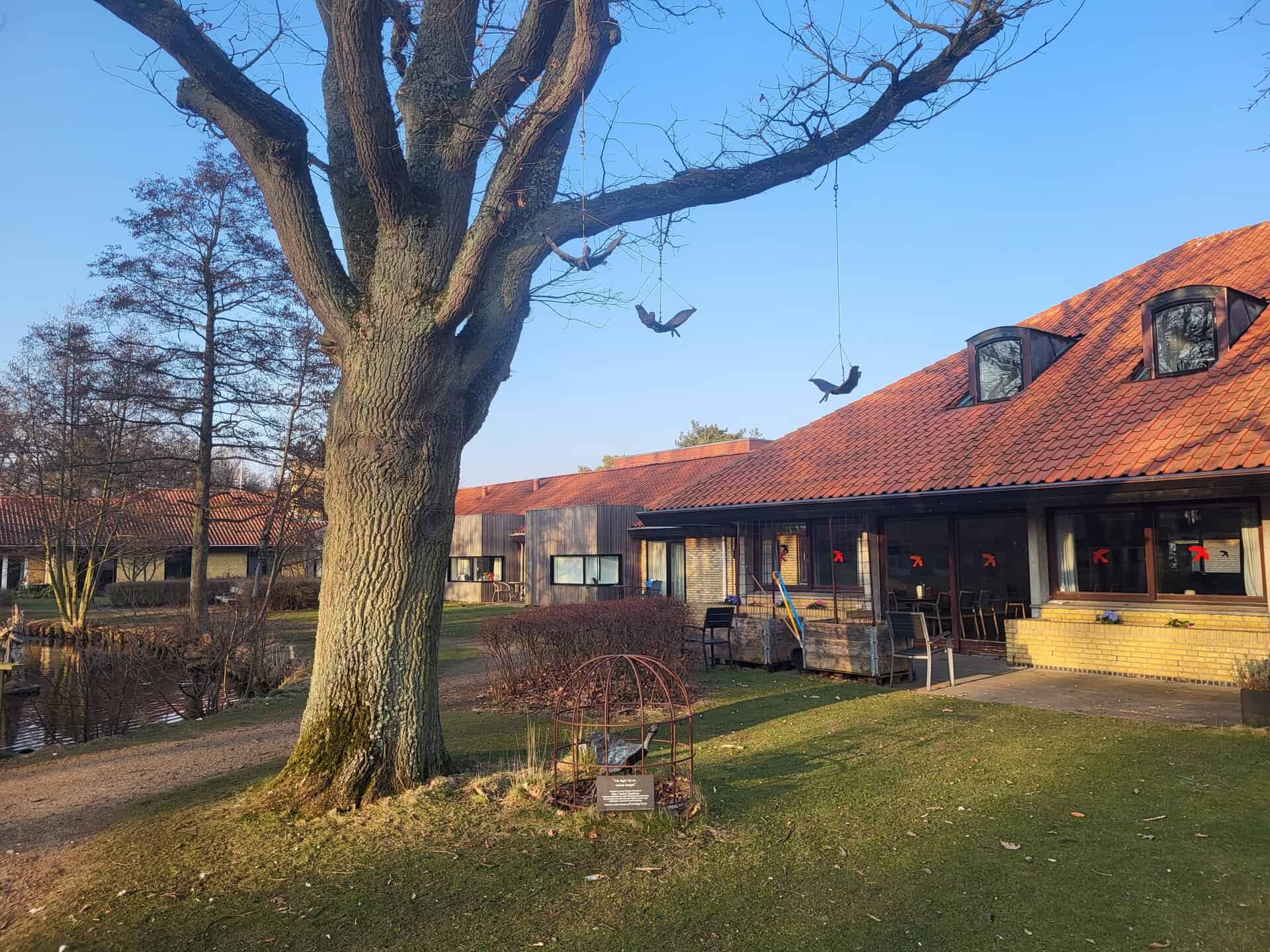 Ledelsesskift og arbejdsmiljø påvirker Enggården